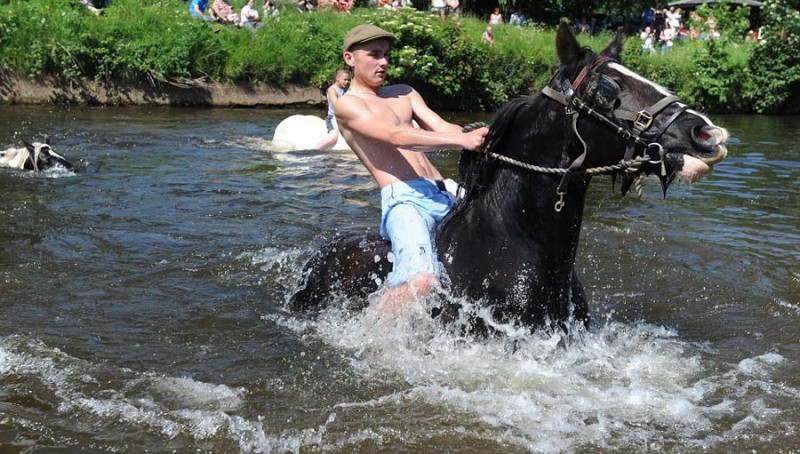 Фотография: Цыганская конная ярмарка в Эпплби №1 - BigPicture.ru
