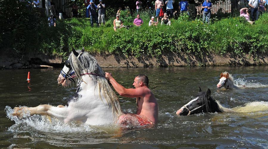 Фотография: Цыганская конная ярмарка в Эпплби №8 - BigPicture.ru