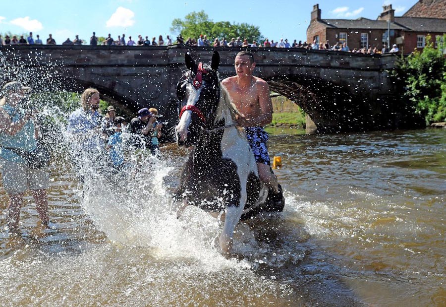 Фотография: Цыганская конная ярмарка в Эпплби №10 - BigPicture.ru