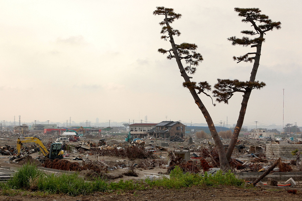 Фотография: Япония - три месяца после катастрофы №11 - BigPicture.ru