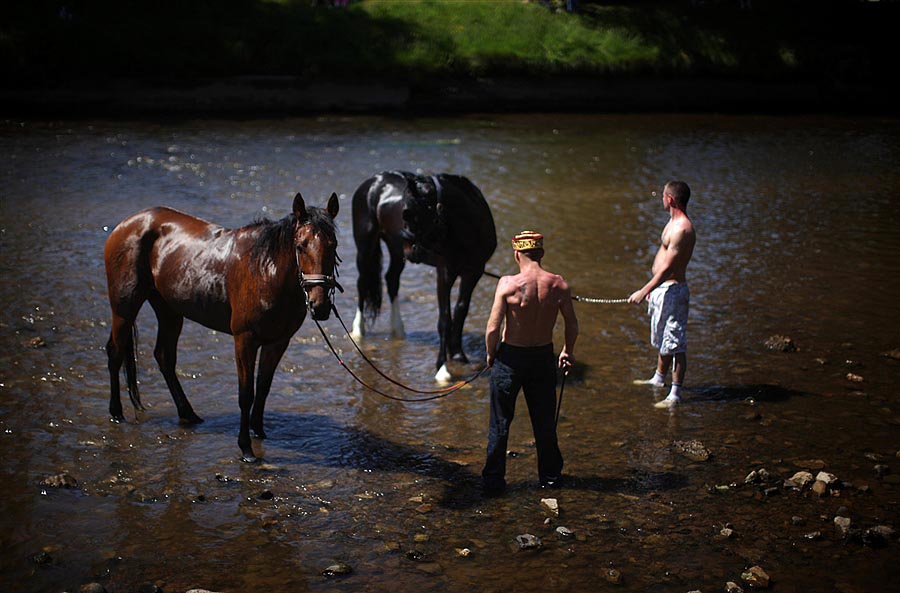 Фотография: Цыганская конная ярмарка в Эпплби №13 - BigPicture.ru