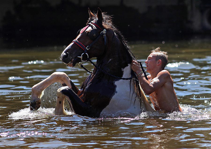 Фотография: Цыганская конная ярмарка в Эпплби №16 - BigPicture.ru