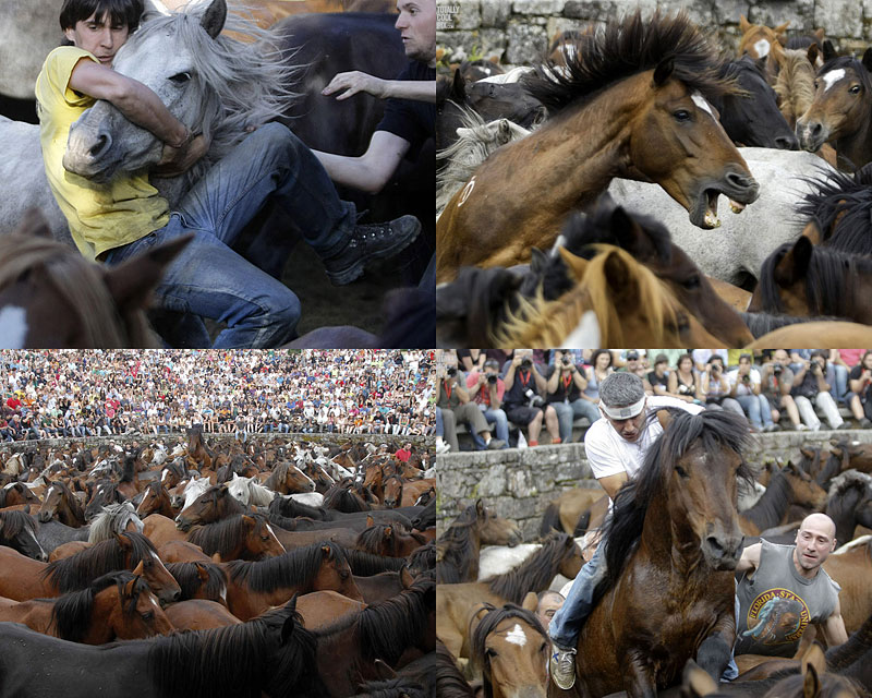 Фотография: Укрощение лошадей: Фестиваль Rapa das Bestas №1 - BigPicture.ru