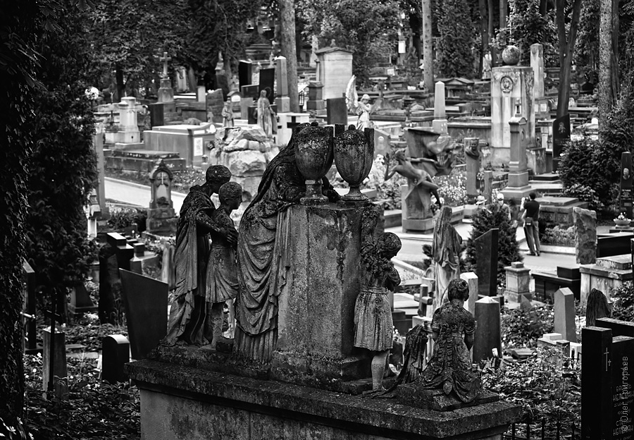 Фотография: Львов: Лычаковское кладбище №11 - BigPicture.ru