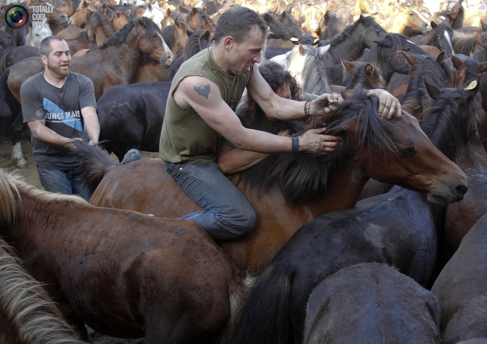 Фотография: Укрощение лошадей: Фестиваль Rapa das Bestas №11 - BigPicture.ru
