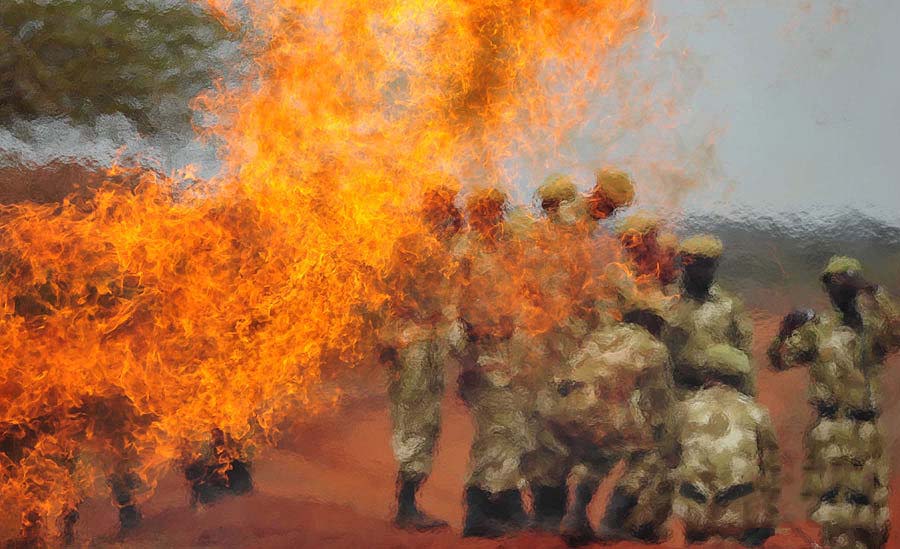 Фотография: В Кении сожгли 5 тонн слоновой кости №13 - BigPicture.ru