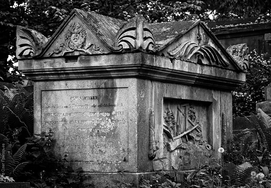 Фотография: Львов: Лычаковское кладбище №13 - BigPicture.ru