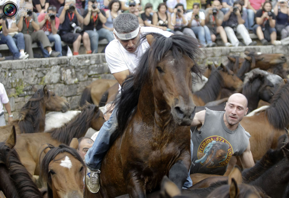 Фотография: Укрощение лошадей: Фестиваль Rapa das Bestas №17 - BigPicture.ru