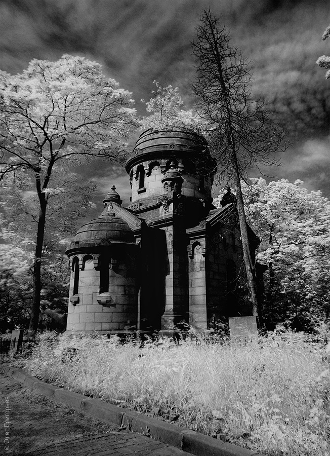 Фотография: Львов: Лычаковское кладбище №19 - BigPicture.ru