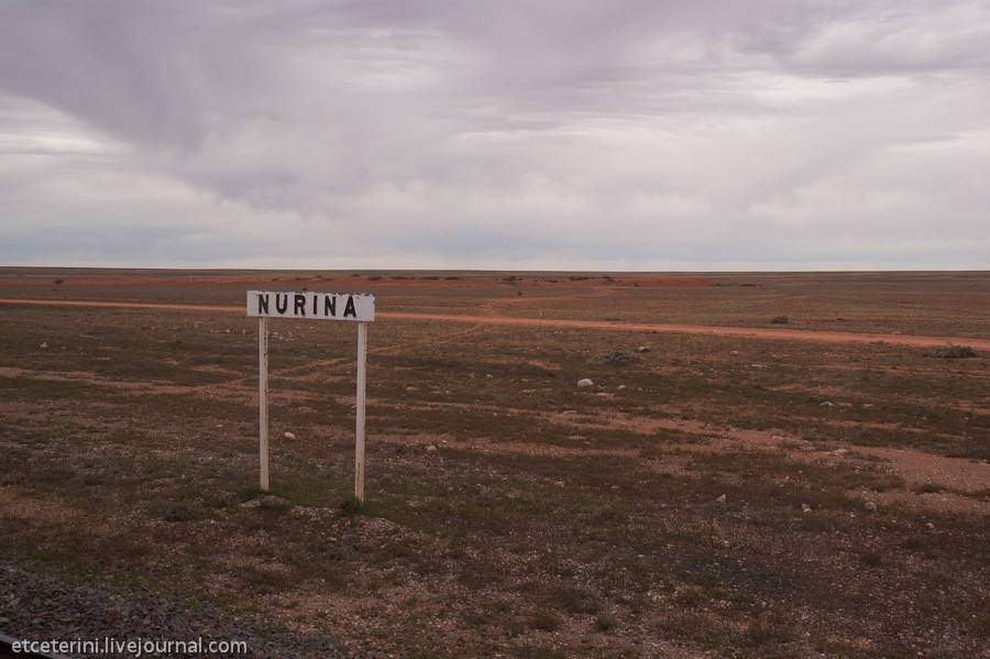 Фотография: Большое путешествие: 7000 километров по Австралии (Часть 2) №19 - BigPicture.ru