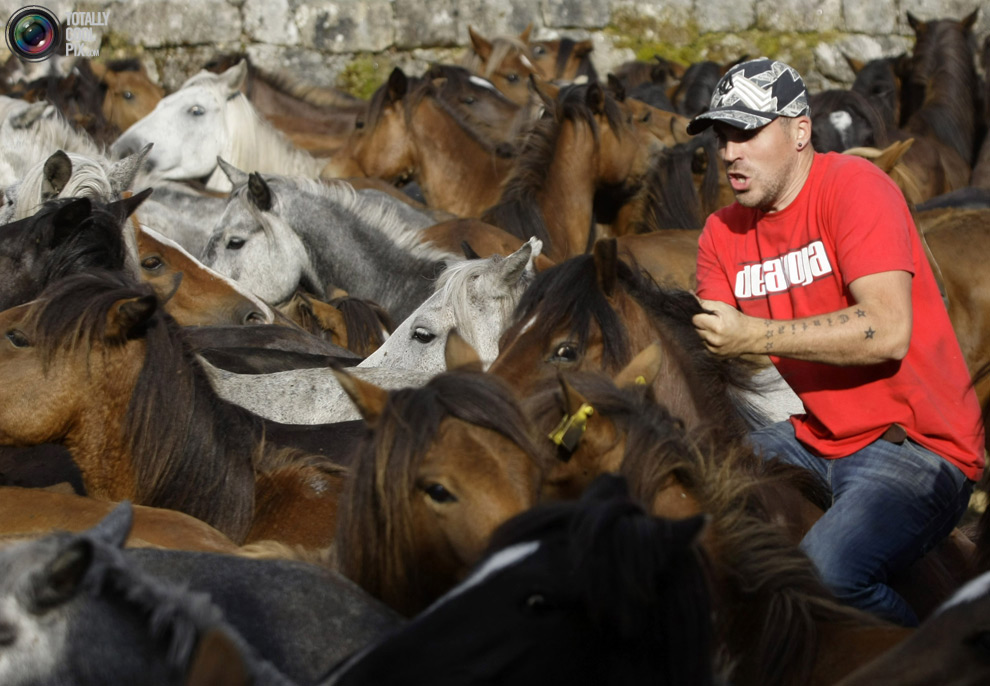 Фотография: Укрощение лошадей: Фестиваль Rapa das Bestas №3 - BigPicture.ru