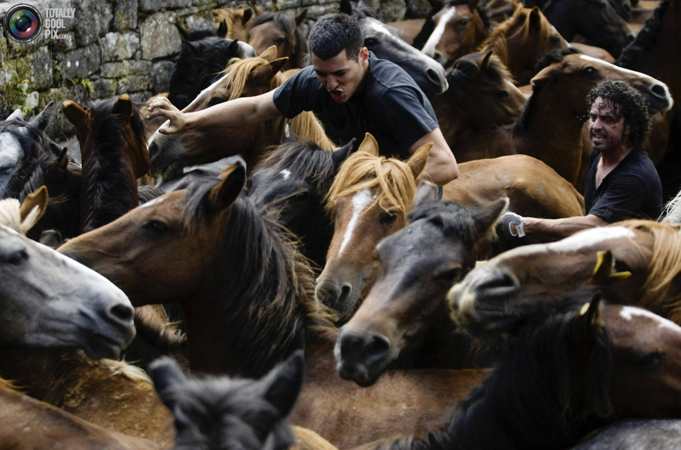 Фотография: Укрощение лошадей: Фестиваль Rapa das Bestas №22 - BigPicture.ru