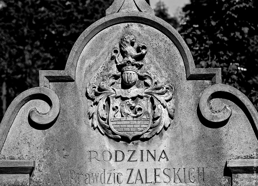 Фотография: Львов: Лычаковское кладбище №24 - BigPicture.ru