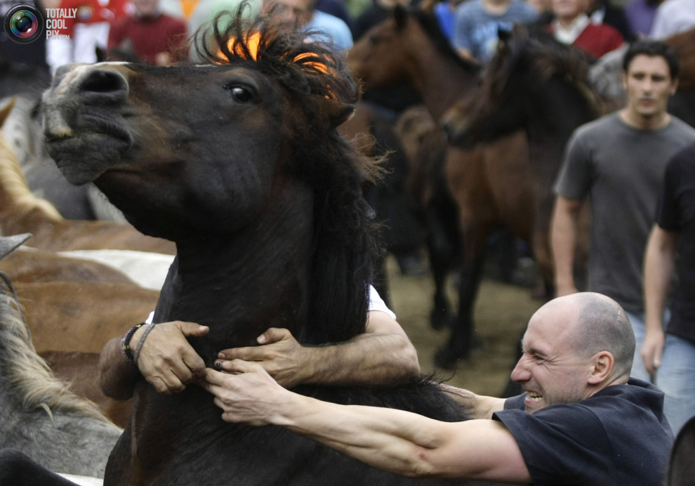 Фотография: Укрощение лошадей: Фестиваль Rapa das Bestas №25 - BigPicture.ru