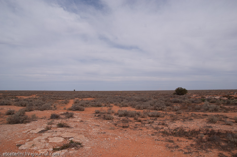 Фотография: Большое путешествие: 7000 километров по Австралии (Часть 2) №29 - BigPicture.ru