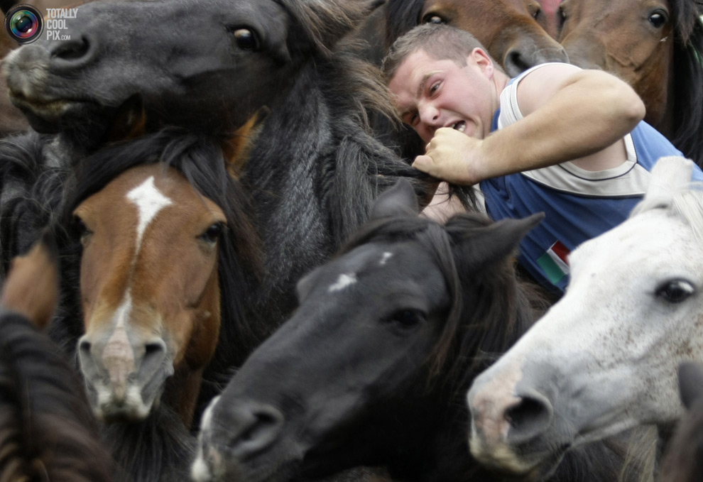 Фотография: Укрощение лошадей: Фестиваль Rapa das Bestas №30 - BigPicture.ru