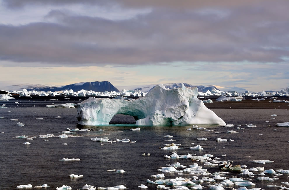 Фотография: Удивительные айсберги №38 - BigPicture.ru