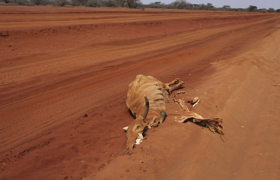 Фотография: Засуха в Сомали вызвала сильнейшний гуманитарный кризис №41 - BigPicture.ru