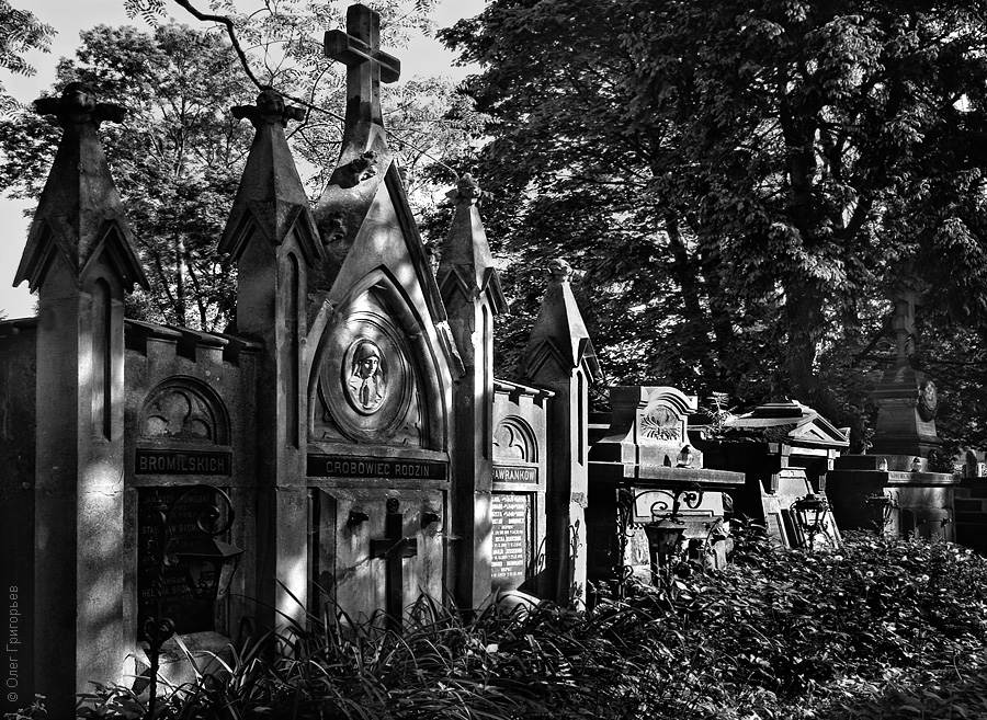 Фотография: Львов: Лычаковское кладбище №42 - BigPicture.ru