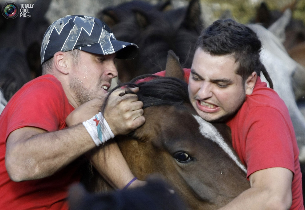 Фотография: Укрощение лошадей: Фестиваль Rapa das Bestas №5 - BigPicture.ru