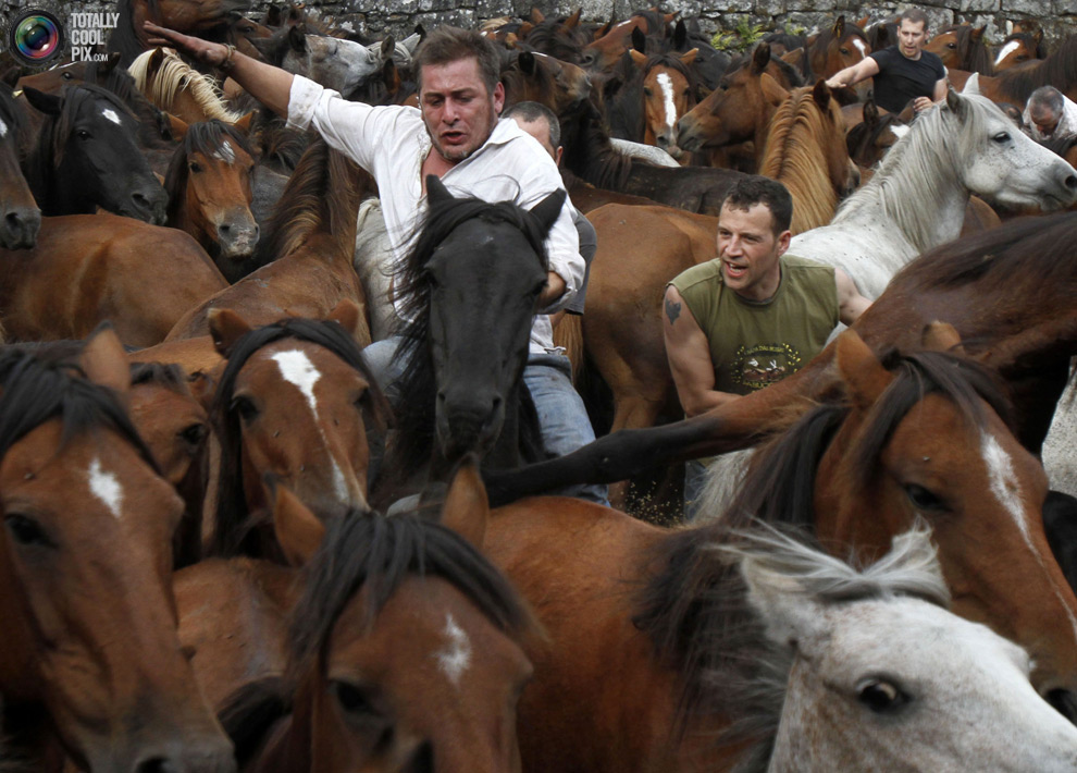 Фотография: Укрощение лошадей: Фестиваль Rapa das Bestas №9 - BigPicture.ru