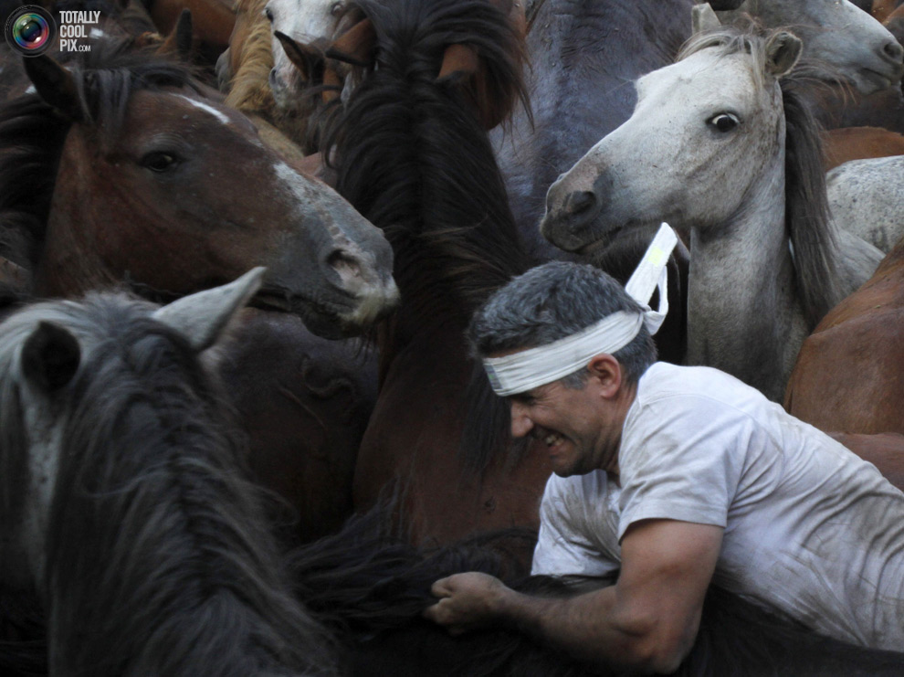 Фотография: Укрощение лошадей: Фестиваль Rapa das Bestas №10 - BigPicture.ru