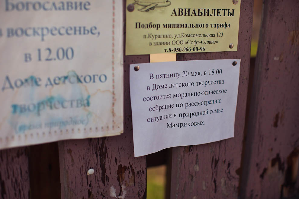 Фотография: Как люди живут в лесу и молятся колесу №10 - BigPicture.ru