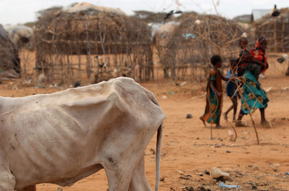 Фотография: Голод в Восточной Африке №19 - BigPicture.ru