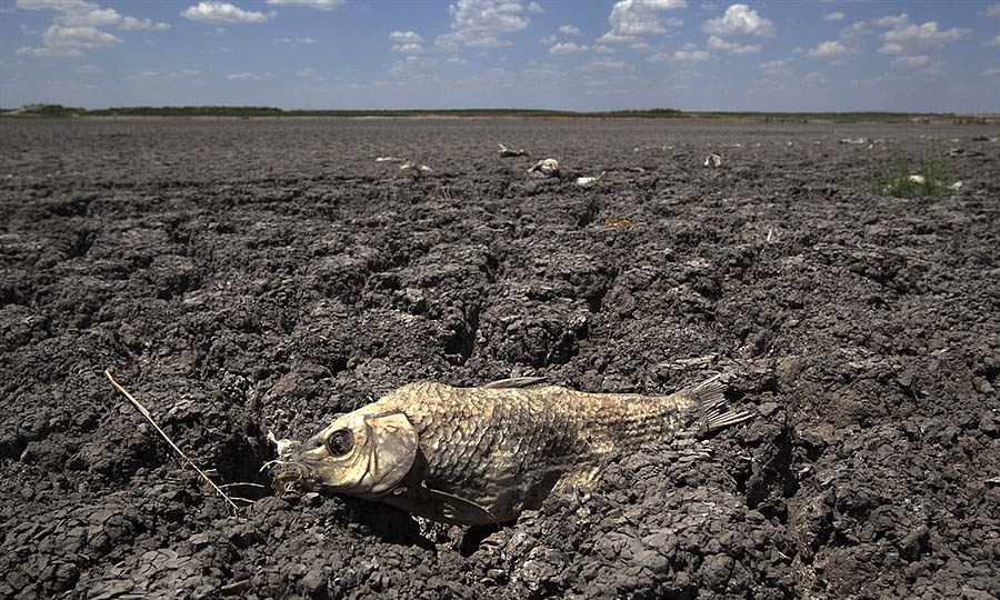 Фотография: Страшная засуха в Техасе: фанатики ждут конца света‎ №10 - BigPicture.ru