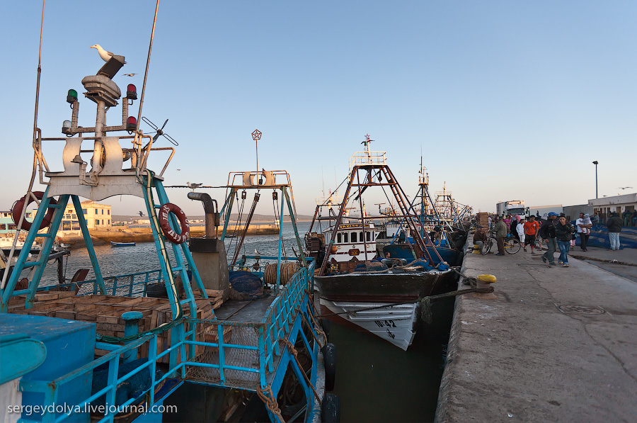 Фотография: Марокко: Эссуэйра и рыбный рынок Агадира №11 - BigPicture.ru