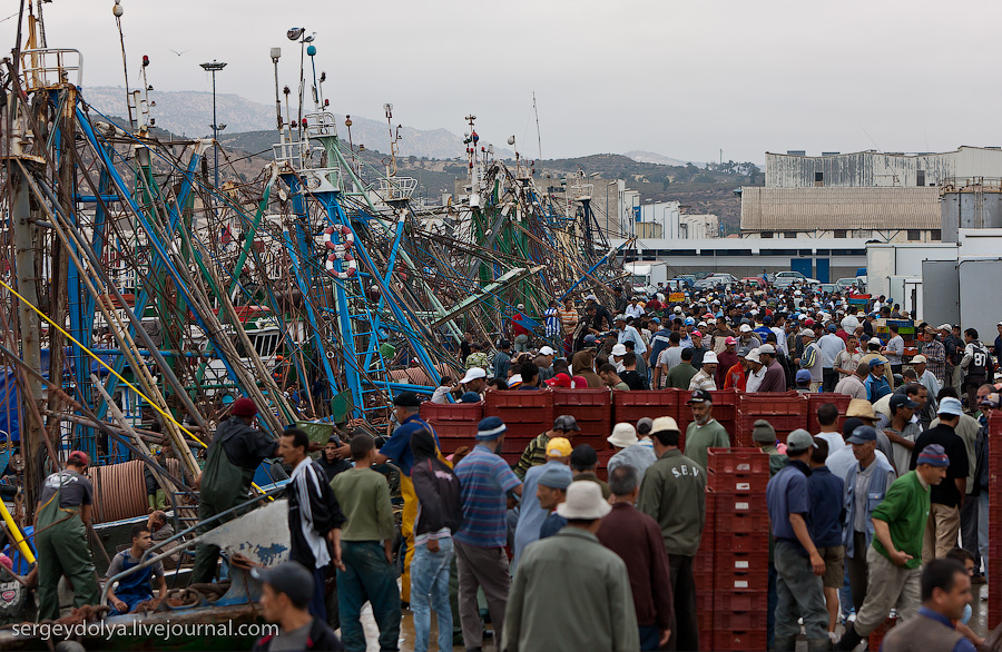Фотография: Марокко: Эссуэйра и рыбный рынок Агадира №2 - BigPicture.ru