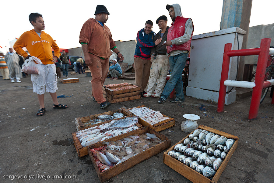 Фотография: Марокко: Эссуэйра и рыбный рынок Агадира №13 - BigPicture.ru