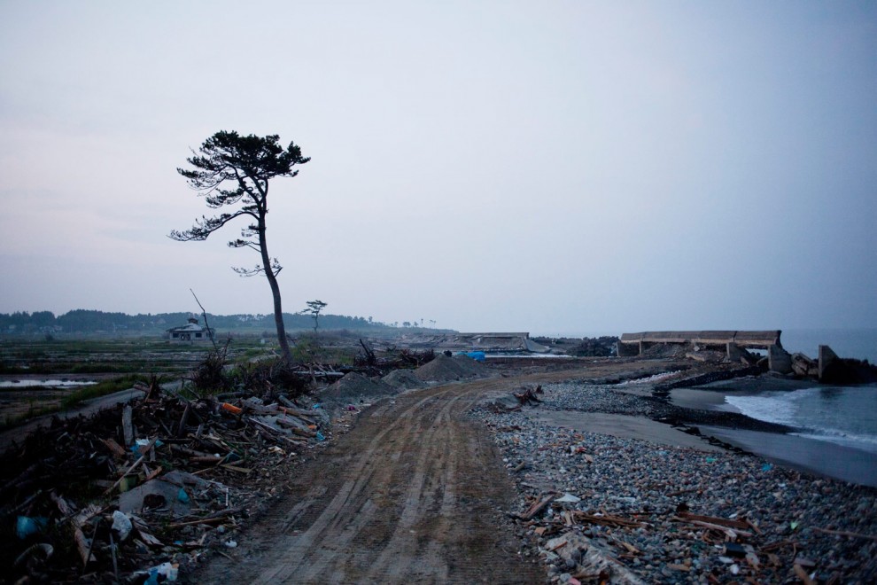 Фотография: Япония - 5 месяцев после удара стихии №15 - BigPicture.ru