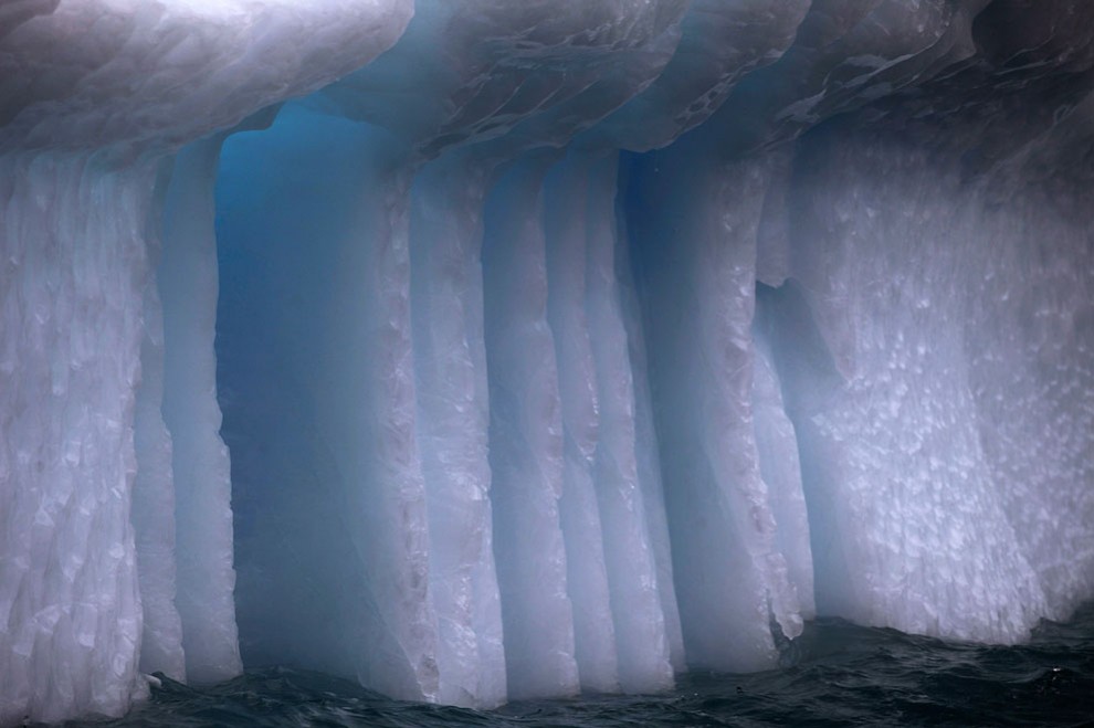 Фотография: Ледяная Гренландия...или уже не ледяная? №16 - BigPicture.ru