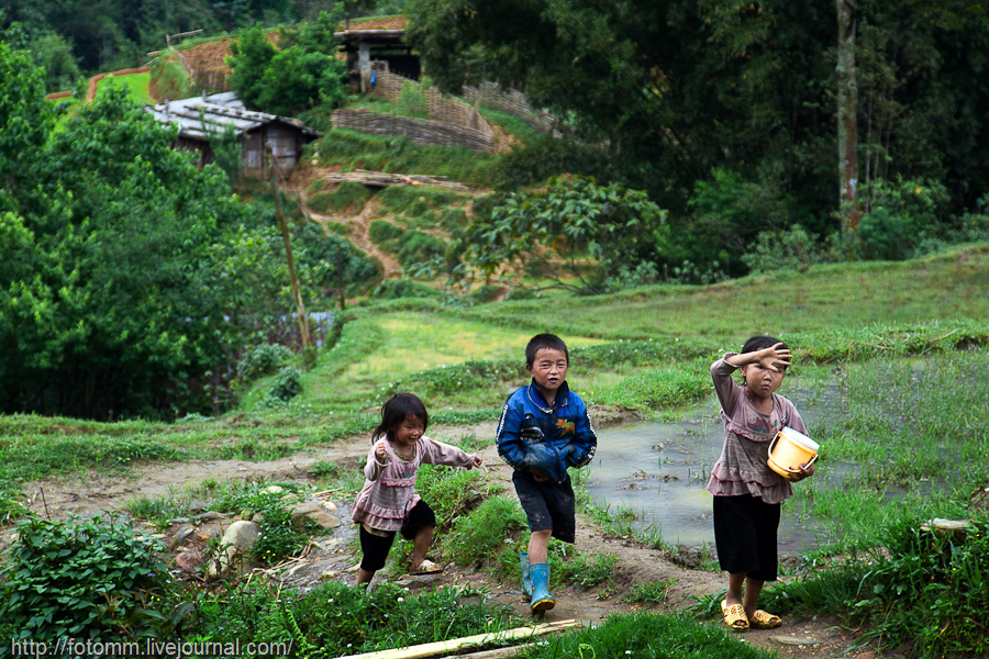 Фотография: Северный Вьетнам: Сапа и окрестности №17 - BigPicture.ru