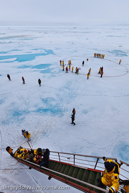 Фотография: Северный полюс: Как это было №17 - BigPicture.ru