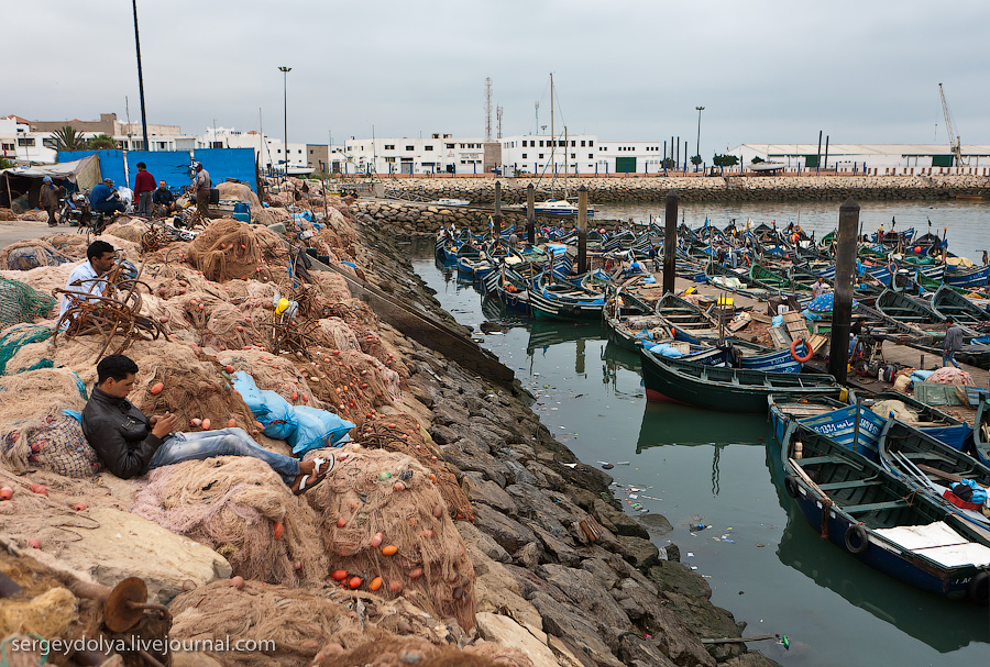 Фотография: Марокко: Эссуэйра и рыбный рынок Агадира №20 - BigPicture.ru