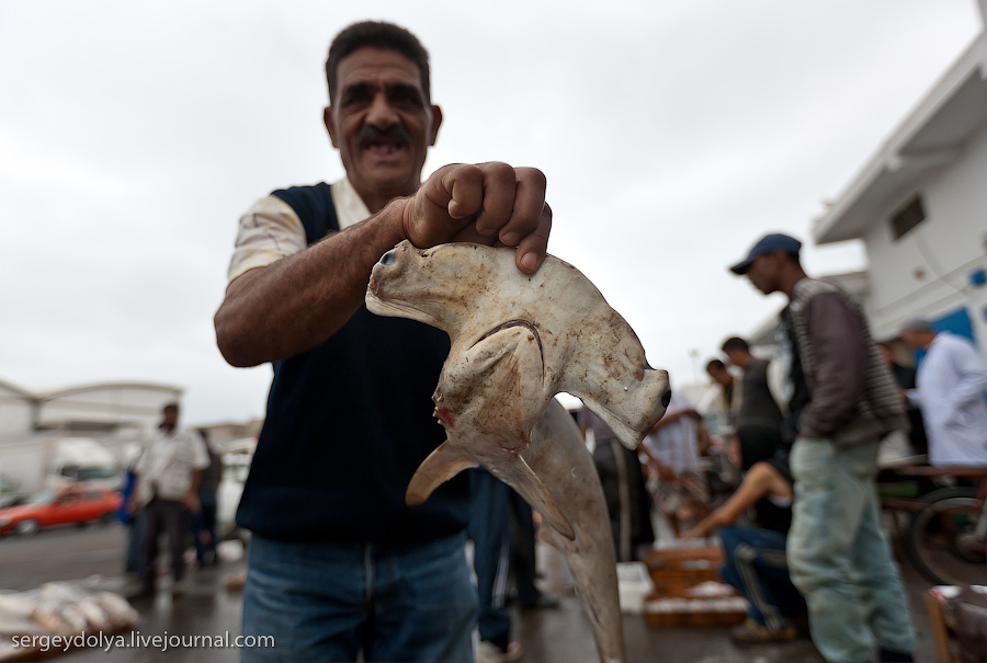 Фотография: Марокко: Эссуэйра и рыбный рынок Агадира №3 - BigPicture.ru