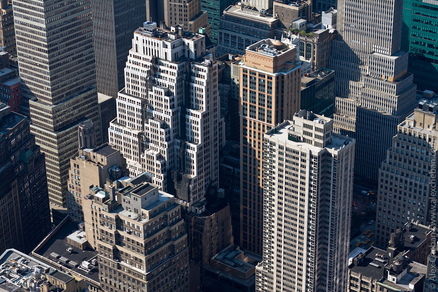 Фотография: Нью-Йорк с самого высокого здания в Манхеттене №22 - BigPicture.ru