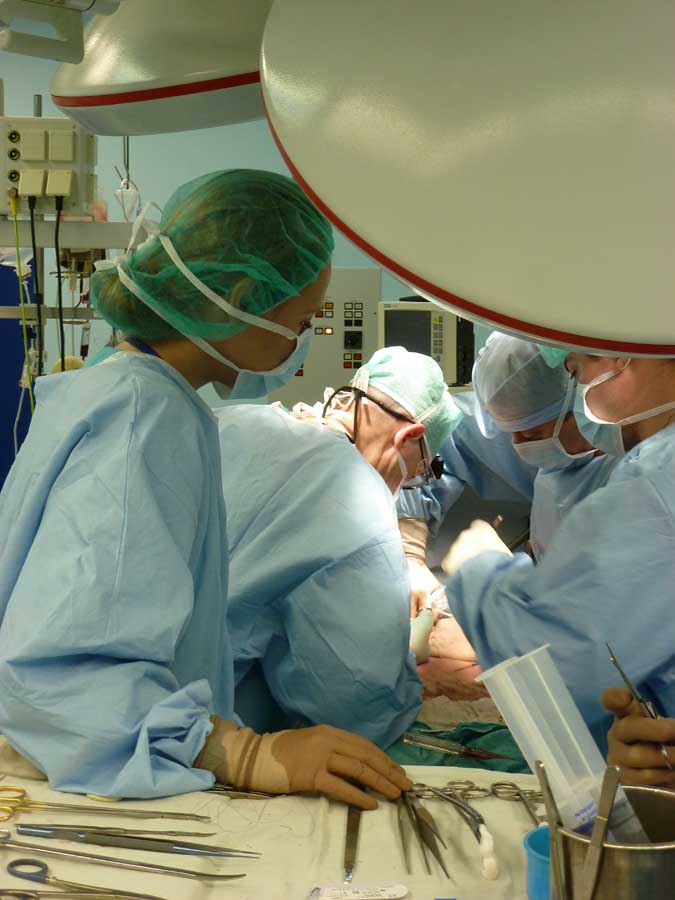 Фотография: Один день из жизни трансплантолога №24 - BigPicture.ru