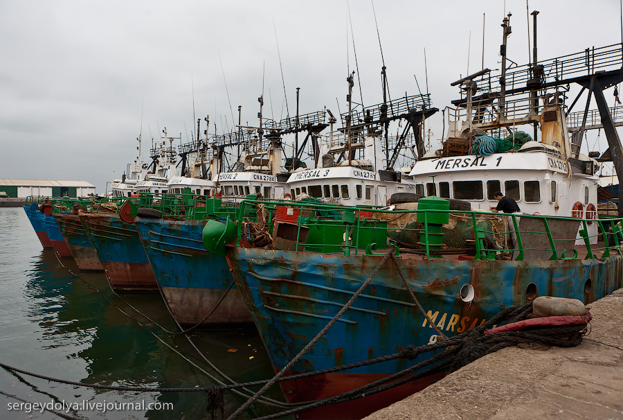 Фотография: Марокко: Эссуэйра и рыбный рынок Агадира №25 - BigPicture.ru