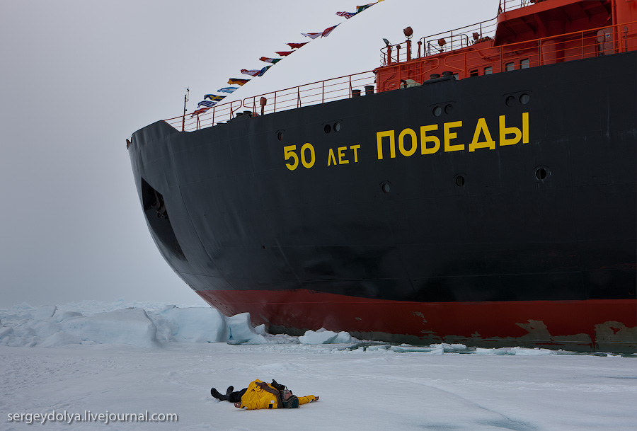 Фотография: Северный полюс: Как это было №25 - BigPicture.ru