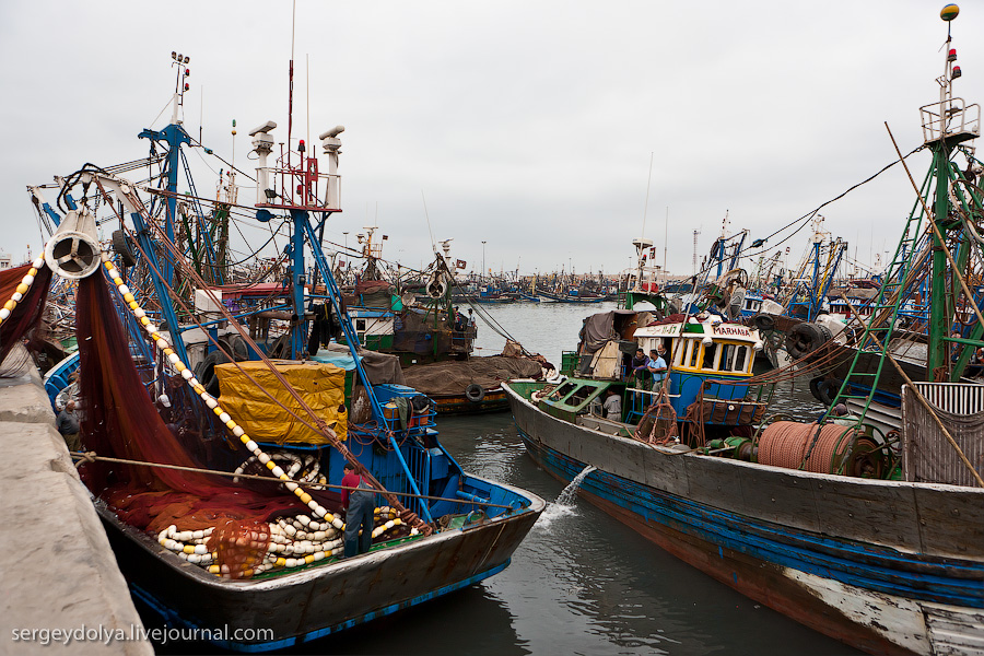 Фотография: Марокко: Эссуэйра и рыбный рынок Агадира №28 - BigPicture.ru