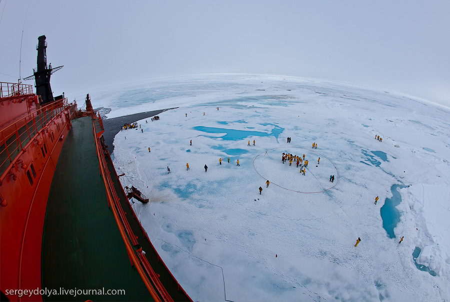 Фотография: Северный полюс: Как это было №29 - BigPicture.ru