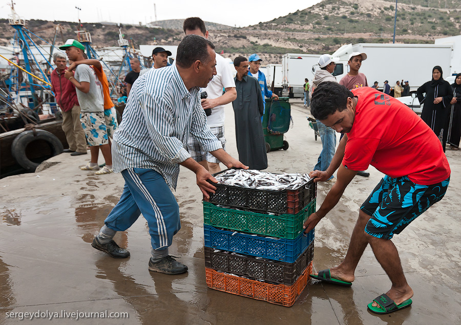 Фотография: Марокко: Эссуэйра и рыбный рынок Агадира №31 - BigPicture.ru