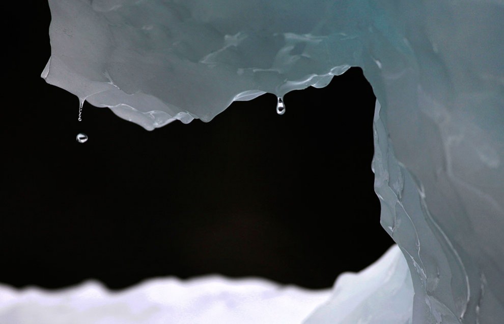Фотография: Ледяная Гренландия...или уже не ледяная? №34 - BigPicture.ru