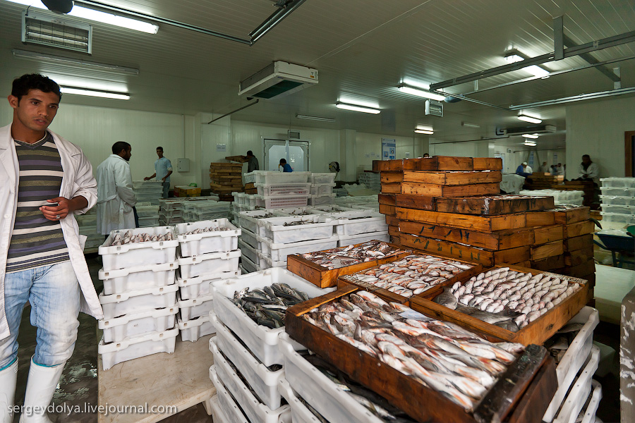 Фотография: Марокко: Эссуэйра и рыбный рынок Агадира №36 - BigPicture.ru