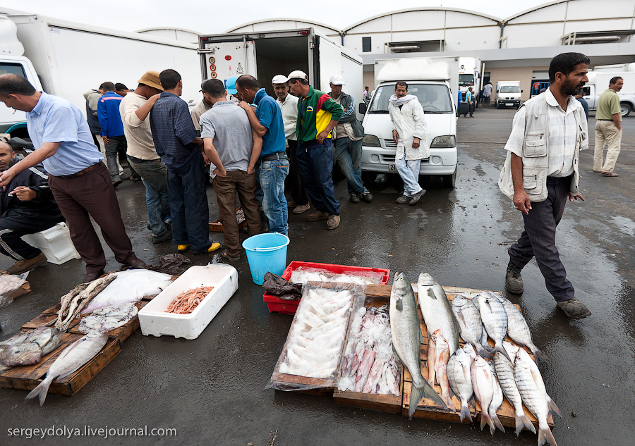 Фотография: Марокко: Эссуэйра и рыбный рынок Агадира №38 - BigPicture.ru