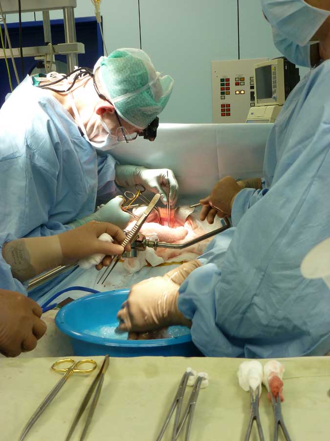Фотография: Один день из жизни трансплантолога №38 - BigPicture.ru