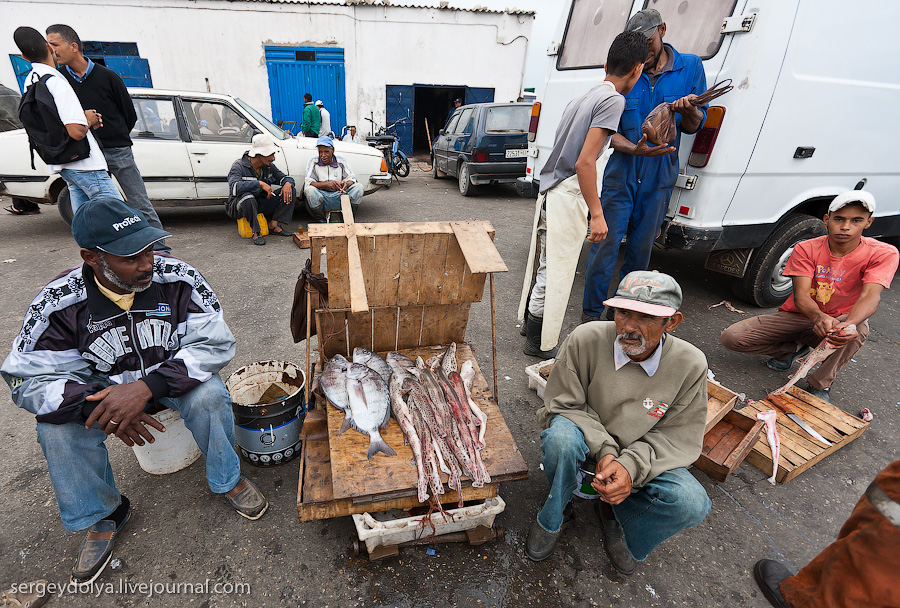 Фотография: Марокко: Эссуэйра и рыбный рынок Агадира №39 - BigPicture.ru